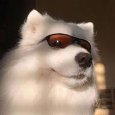 الیزہ شاہ avatar